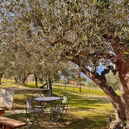 oasi macerina Villa Alanno Bagian luar foto