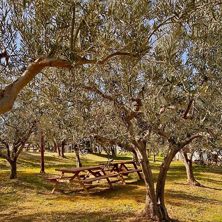 oasi macerina Villa Alanno Bagian luar foto