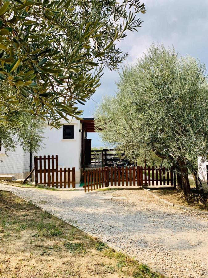 oasi macerina Villa Alanno Bagian luar foto