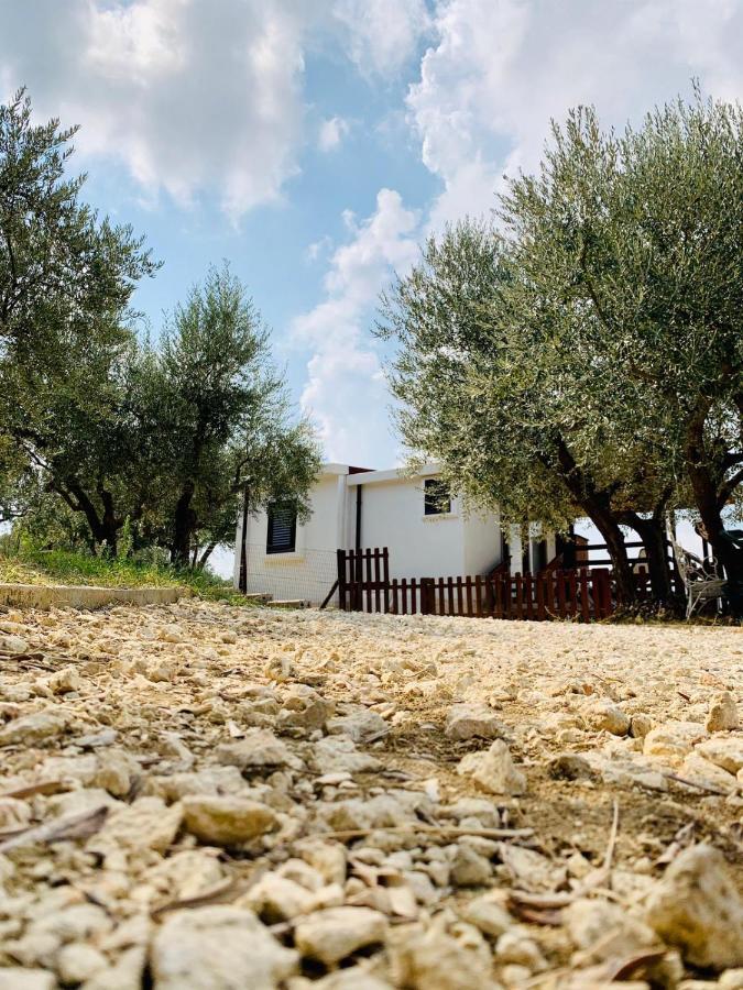 oasi macerina Villa Alanno Bagian luar foto