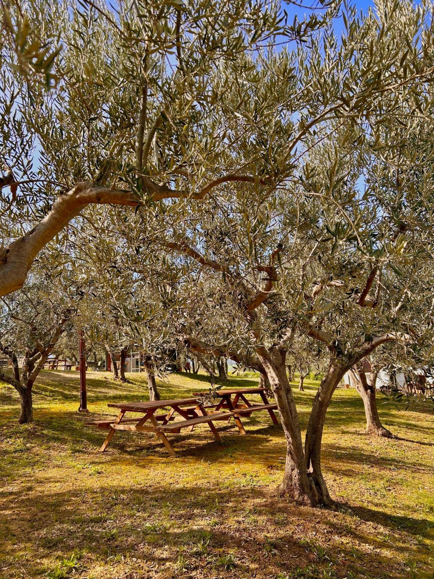 oasi macerina Villa Alanno Bagian luar foto