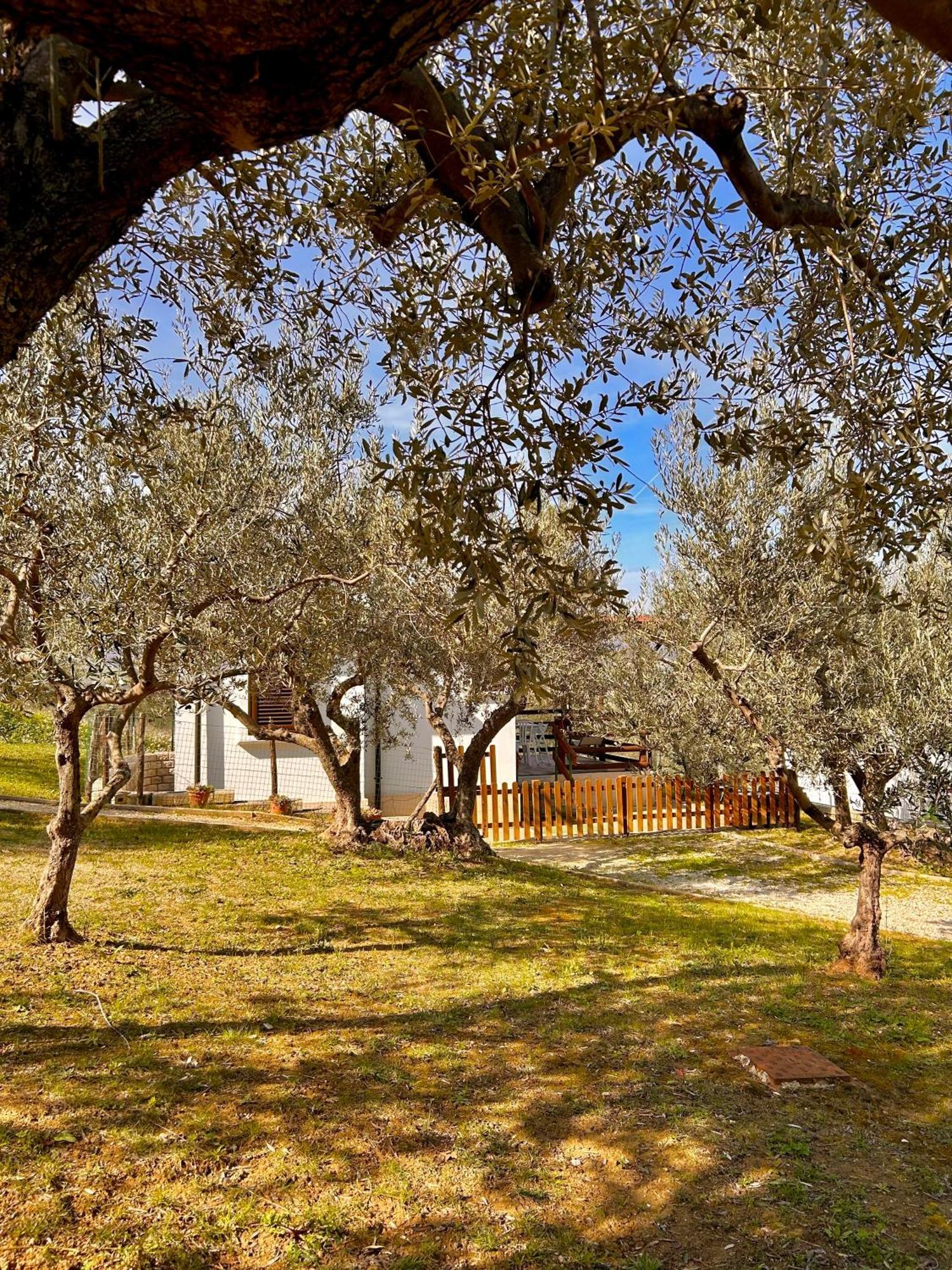 oasi macerina Villa Alanno Bagian luar foto