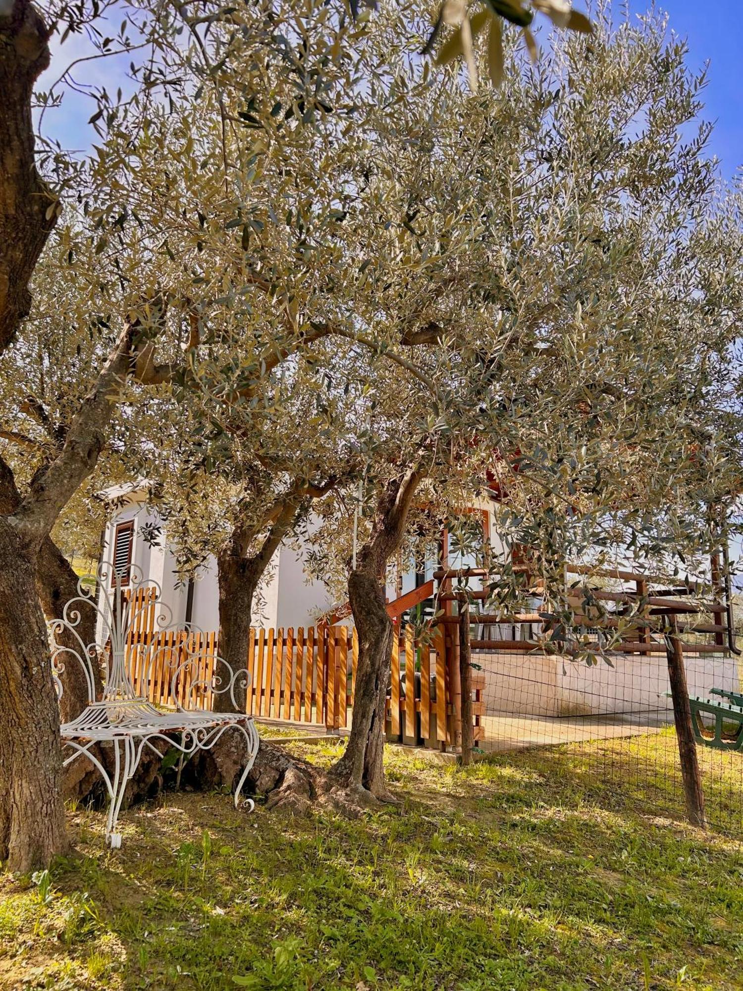 oasi macerina Villa Alanno Bagian luar foto