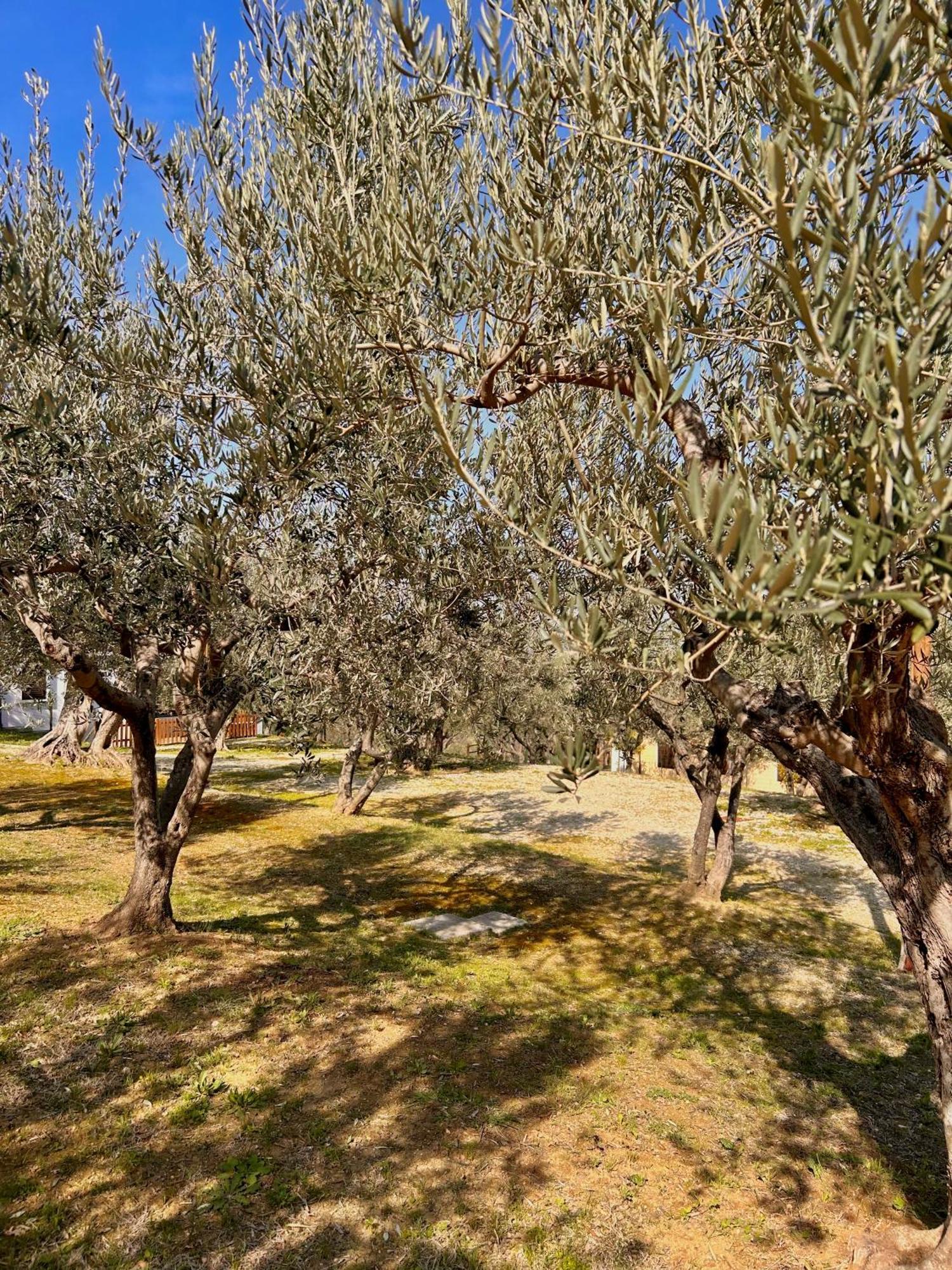 oasi macerina Villa Alanno Bagian luar foto