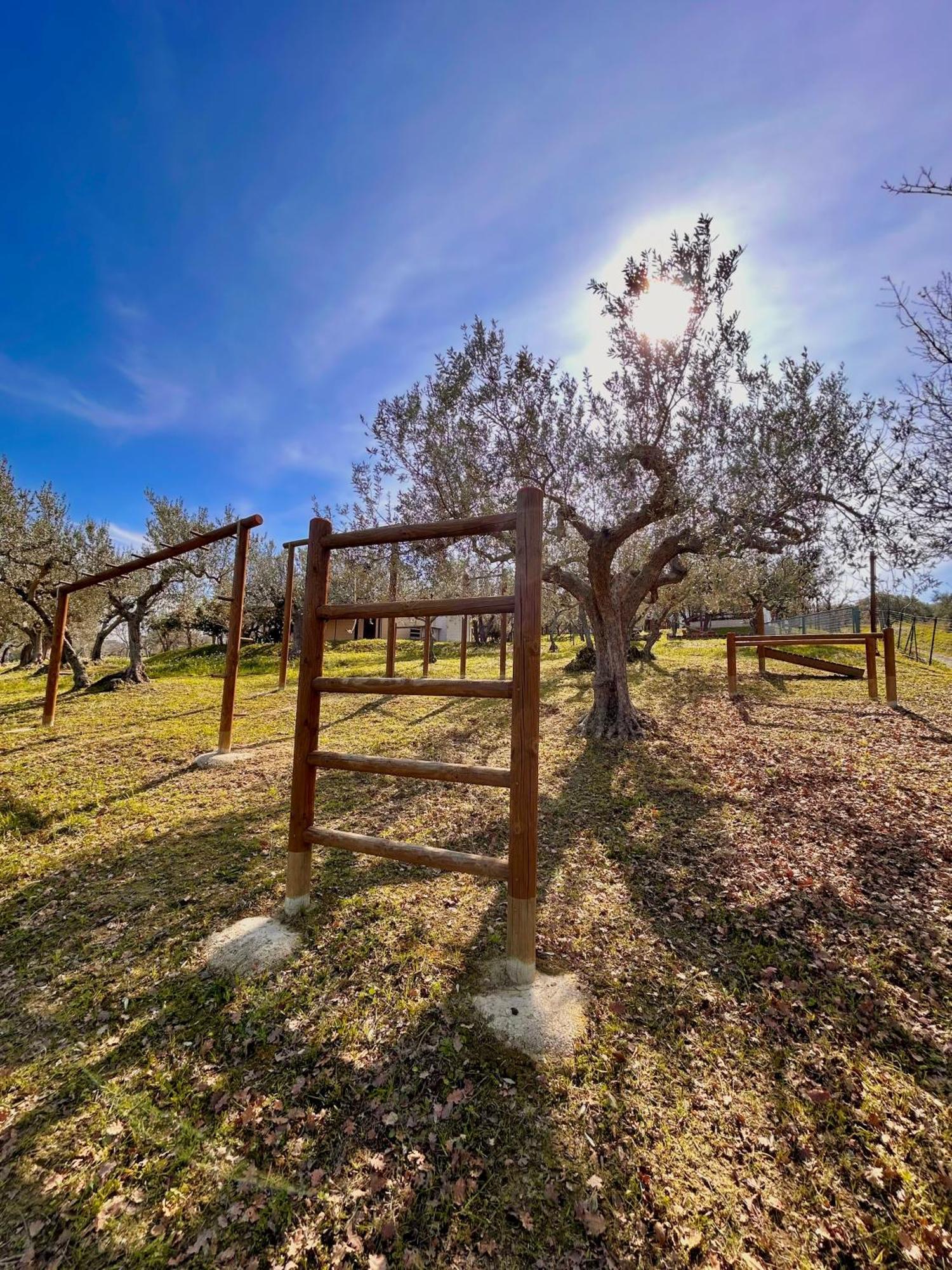 oasi macerina Villa Alanno Bagian luar foto