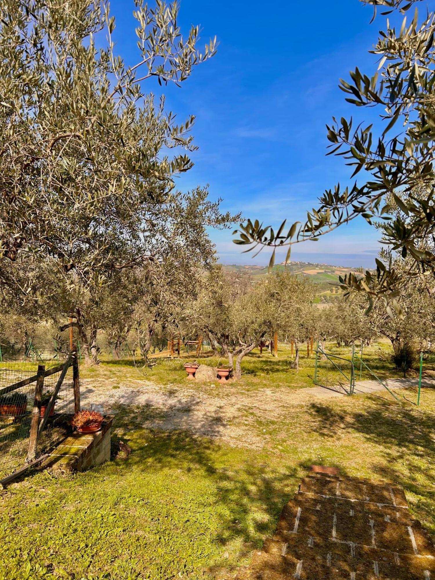 oasi macerina Villa Alanno Bagian luar foto