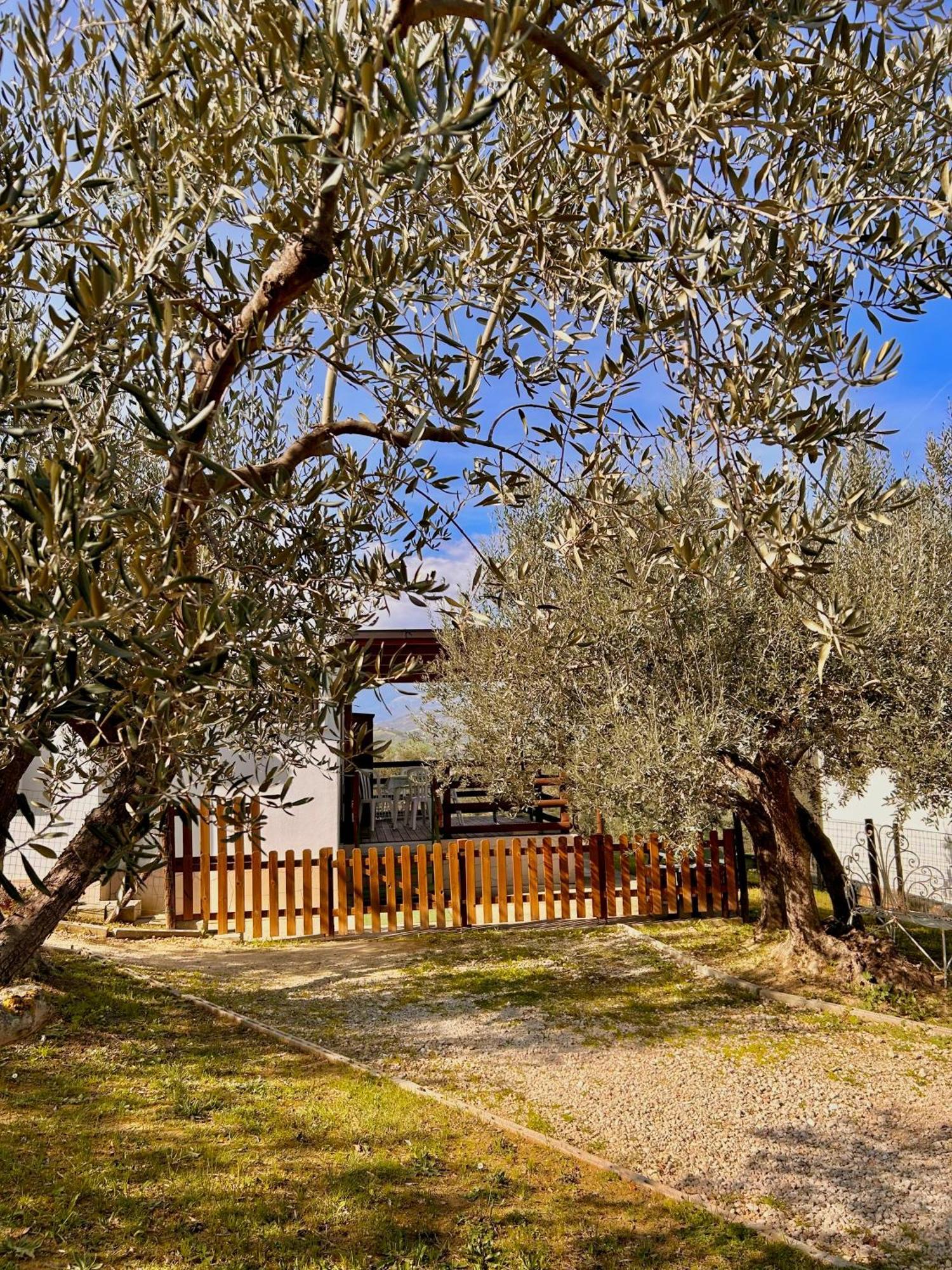 oasi macerina Villa Alanno Bagian luar foto