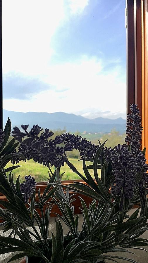 oasi macerina Villa Alanno Bagian luar foto